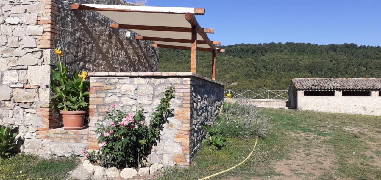 Casale Al Lago Con Piscina E Sauna Corbara  Dış mekan fotoğraf