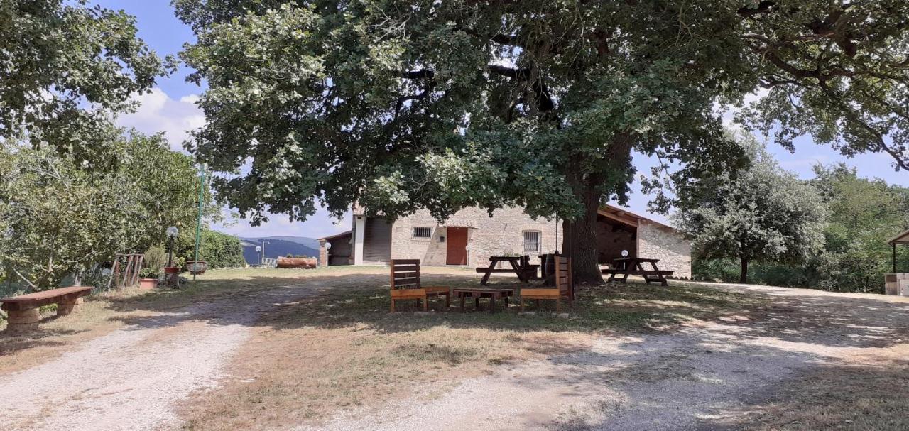 Casale Al Lago Con Piscina E Sauna Corbara  Dış mekan fotoğraf