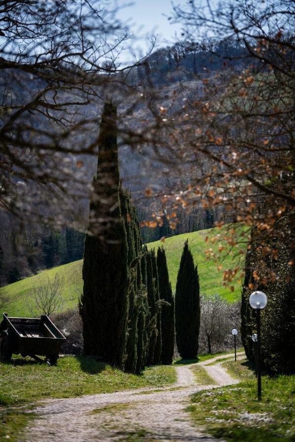 Casale Al Lago Con Piscina E Sauna Corbara  Dış mekan fotoğraf