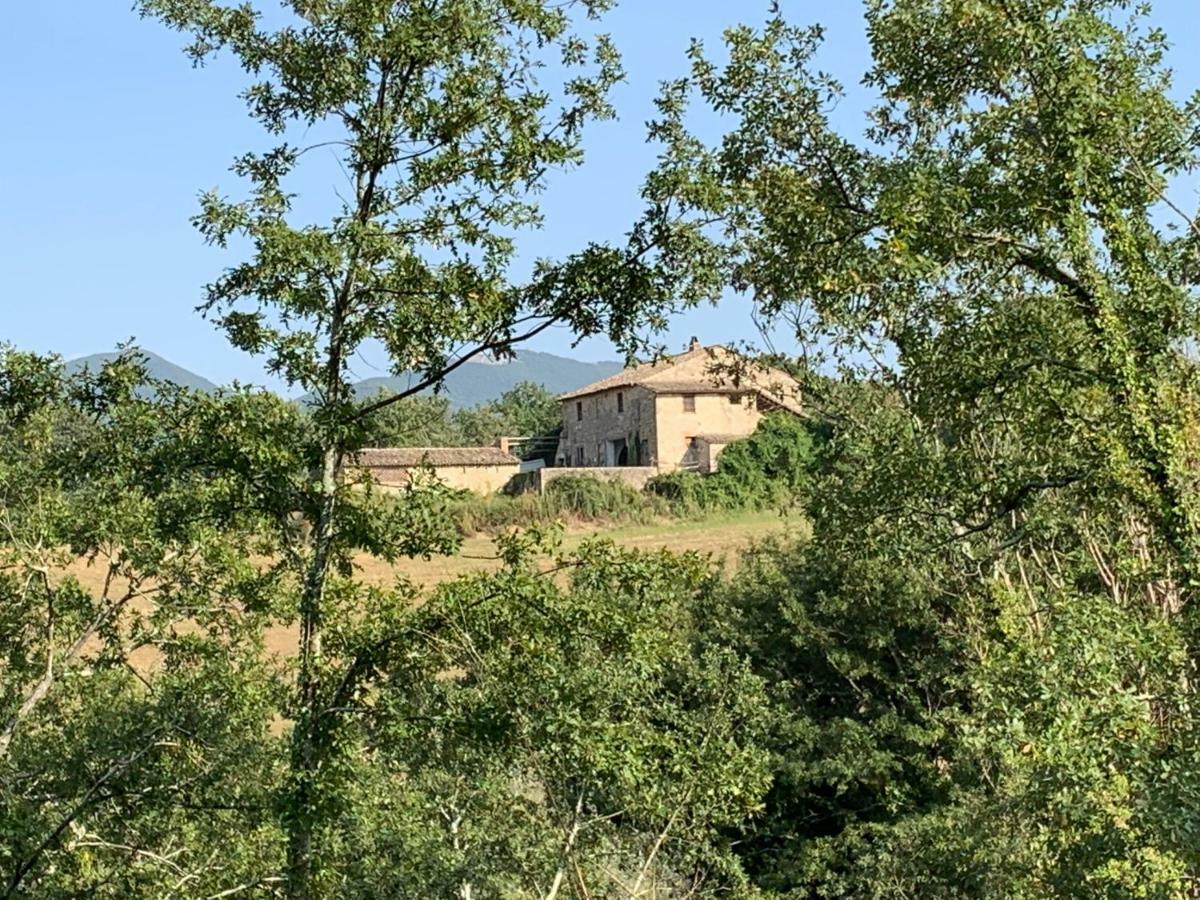 Casale Al Lago Con Piscina E Sauna Corbara  Dış mekan fotoğraf