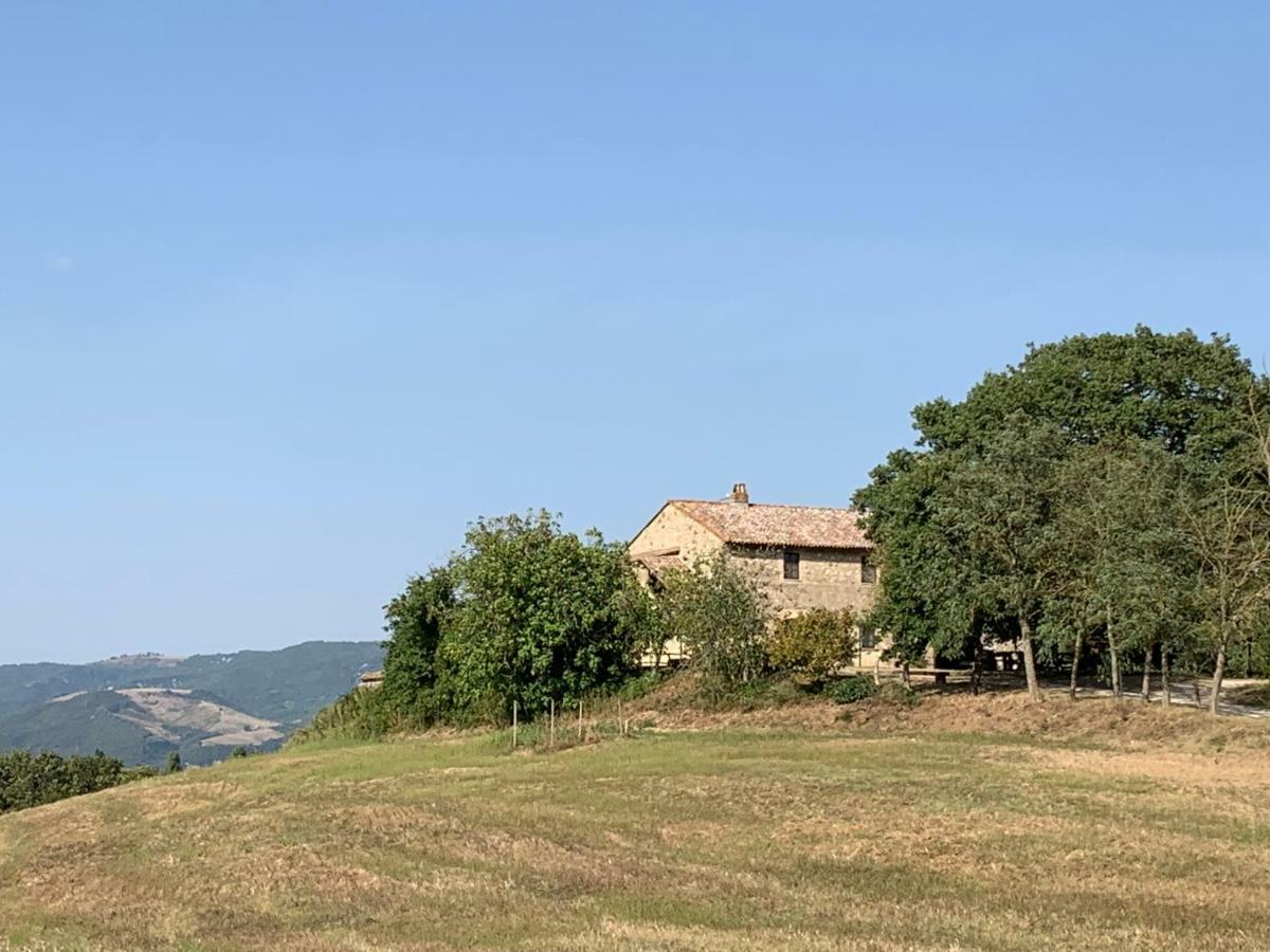 Casale Al Lago Con Piscina E Sauna Corbara  Dış mekan fotoğraf