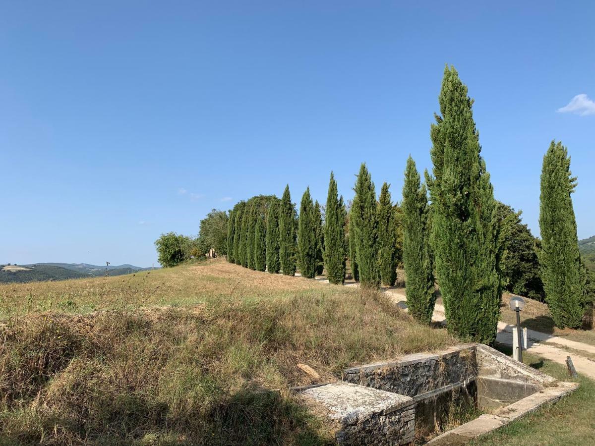 Casale Al Lago Con Piscina E Sauna Corbara  Dış mekan fotoğraf