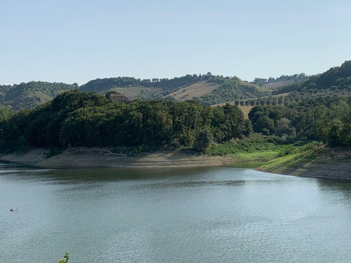 Casale Al Lago Con Piscina E Sauna Corbara  Dış mekan fotoğraf